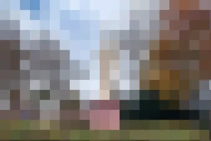 Kooltuin 26 Alkmaar thumbnail 63