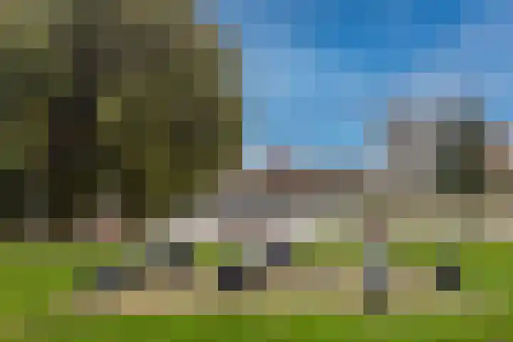 Kooltuin 26 Alkmaar thumbnail 64