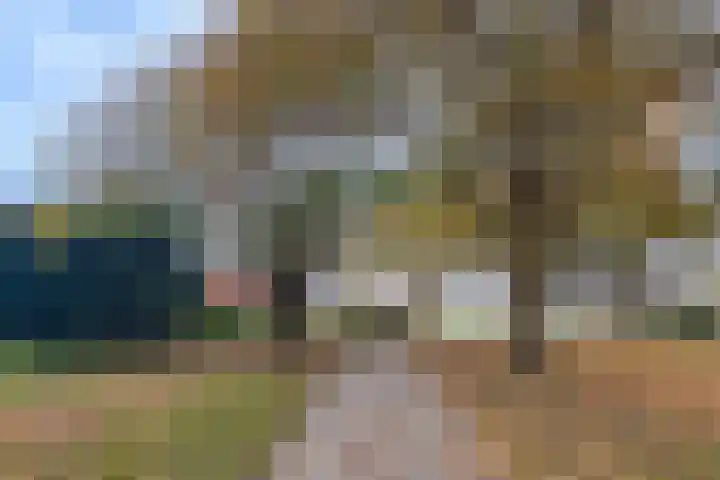 Kooltuin 26 Alkmaar thumbnail 65