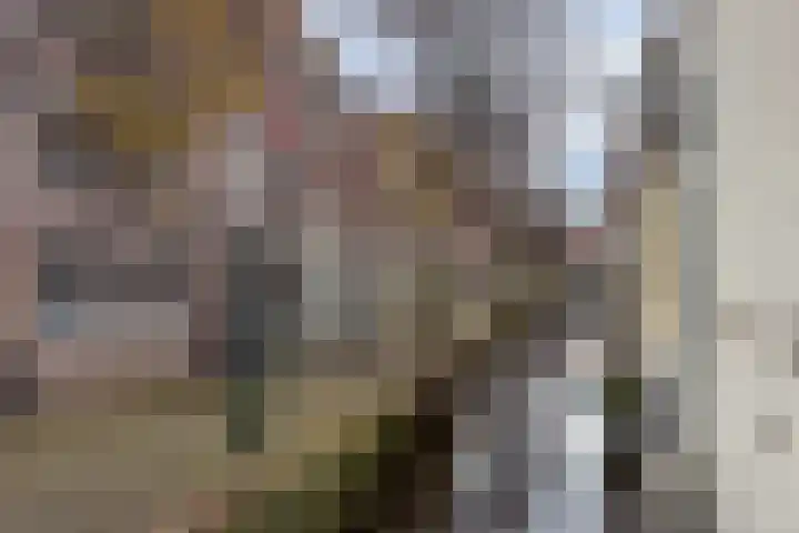 Kooltuin 26 Alkmaar thumbnail 66