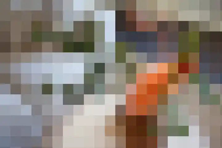 Kooltuin 26 Alkmaar thumbnail 9