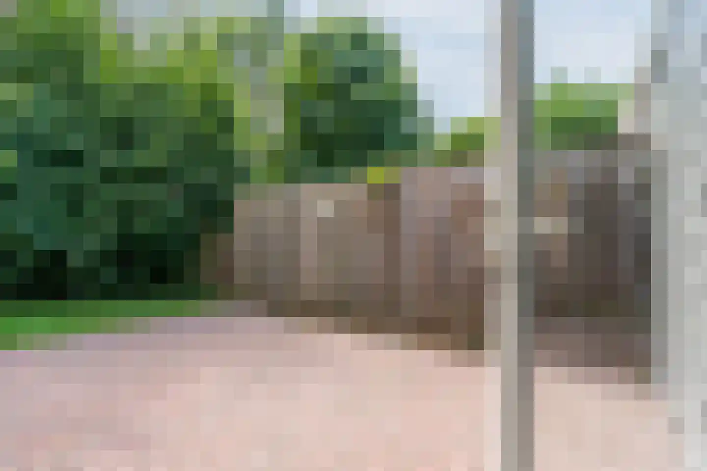Koolveen 7 Nieuw-Balinge thumbnail 15