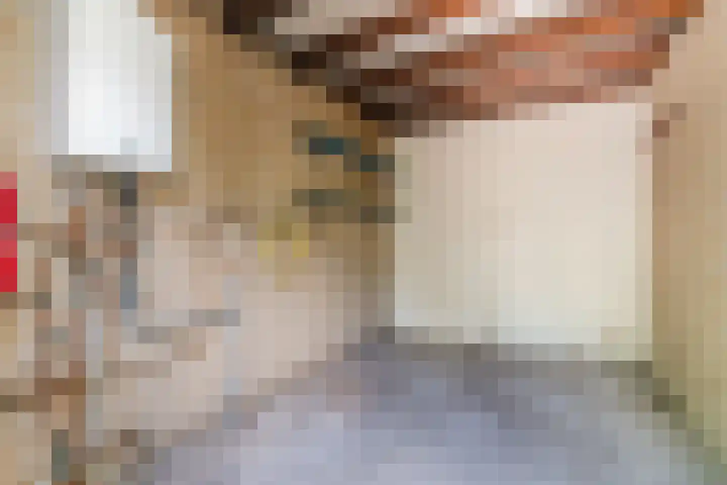 Koolveen 7 Nieuw-Balinge thumbnail 17