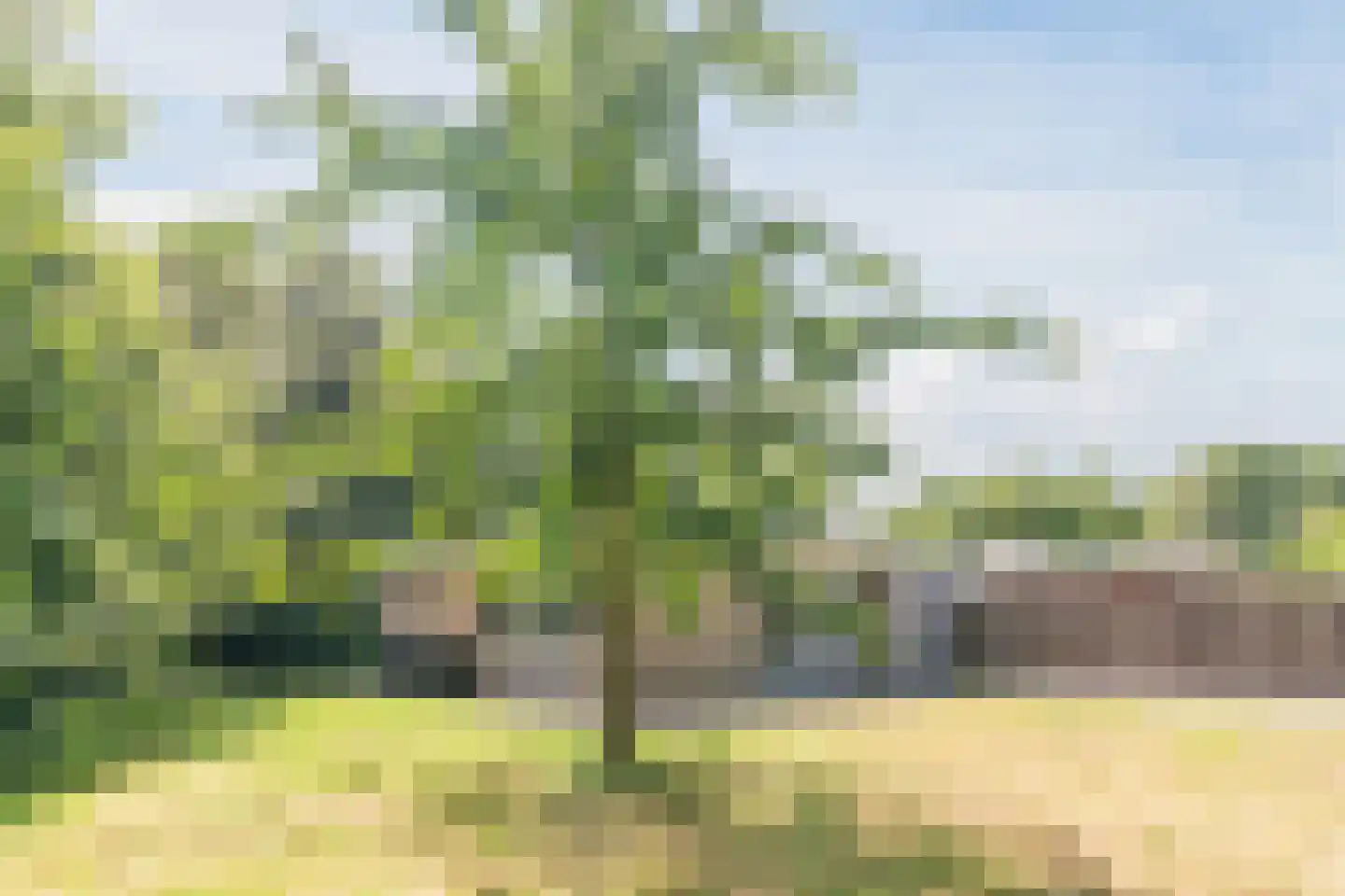 Koolveen 7 Nieuw-Balinge thumbnail 18
