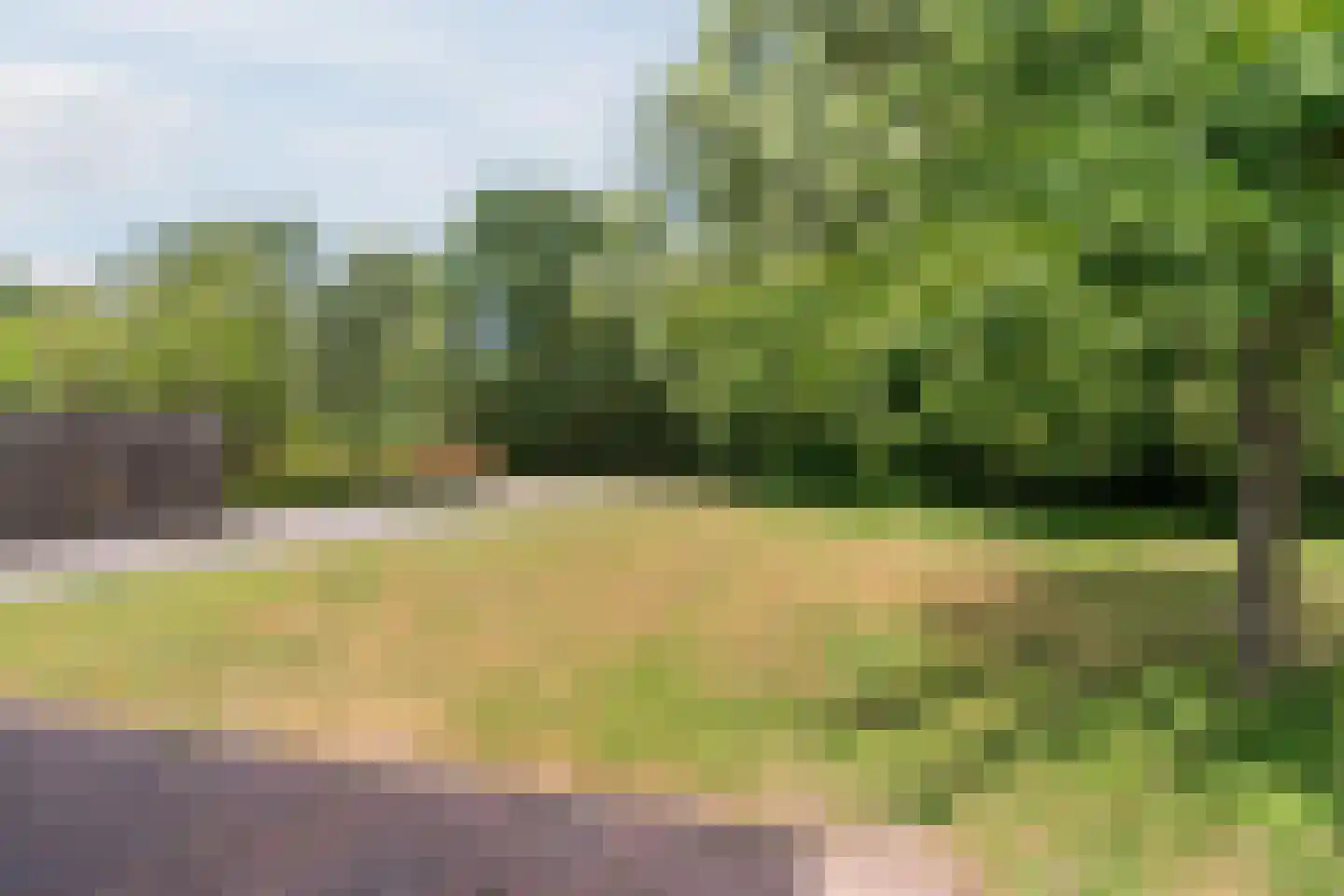 Koolveen 7 Nieuw-Balinge thumbnail 19