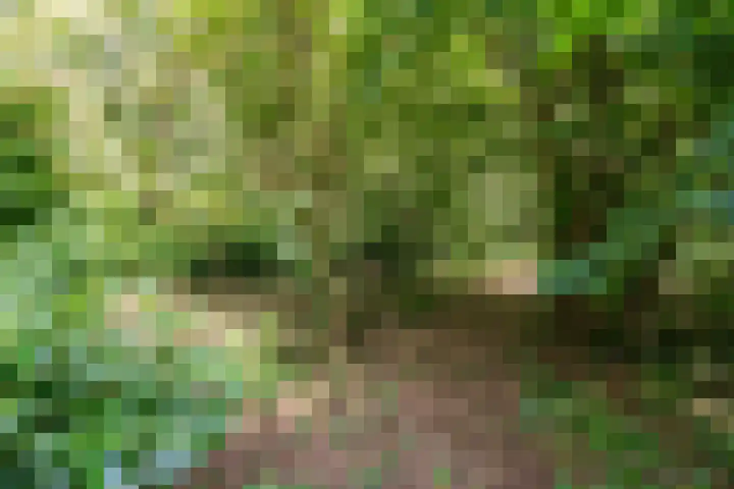Koolveen 7 Nieuw-Balinge thumbnail 22