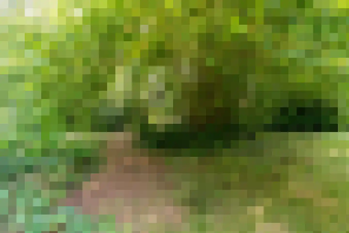 Koolveen 7 Nieuw-Balinge thumbnail 23