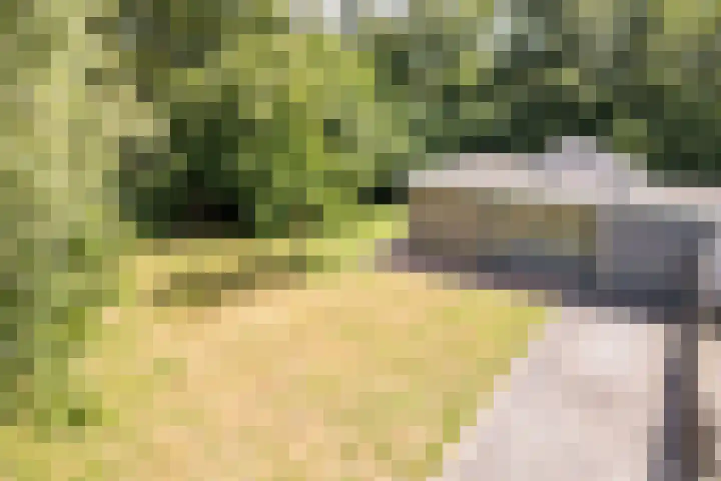 Koolveen 7 Nieuw-Balinge thumbnail 24