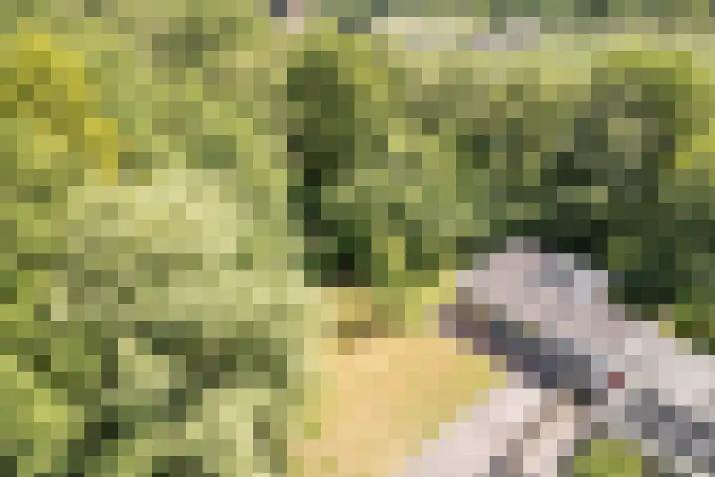 Koolveen 7 Nieuw-Balinge thumbnail 25