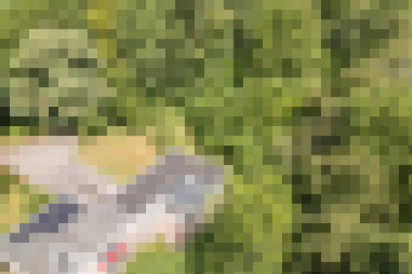 Koolveen 7 Nieuw-Balinge thumbnail 26