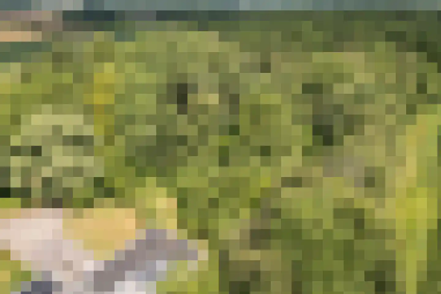 Koolveen 7 Nieuw-Balinge thumbnail 27