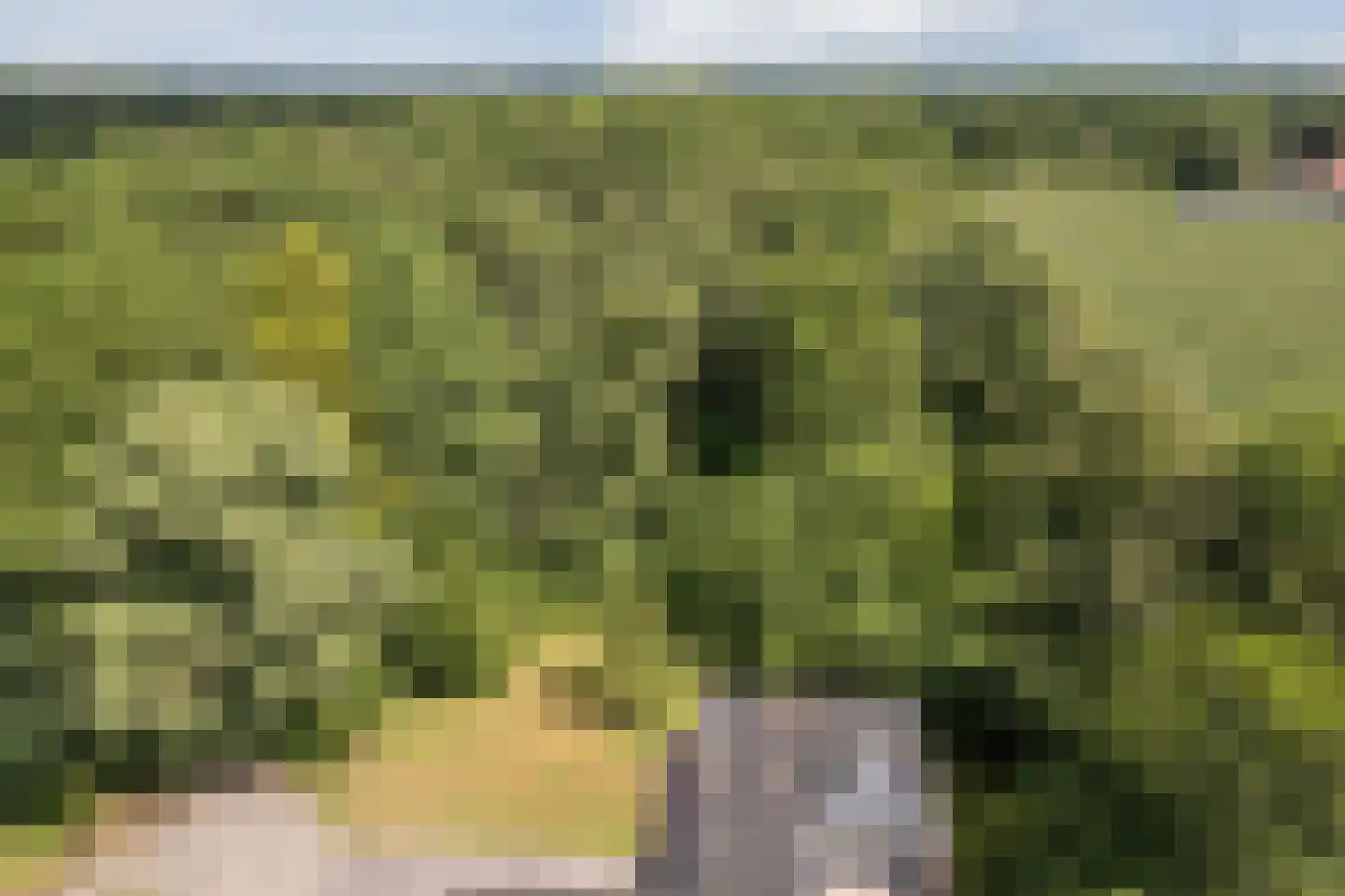 Koolveen 7 Nieuw-Balinge thumbnail 28