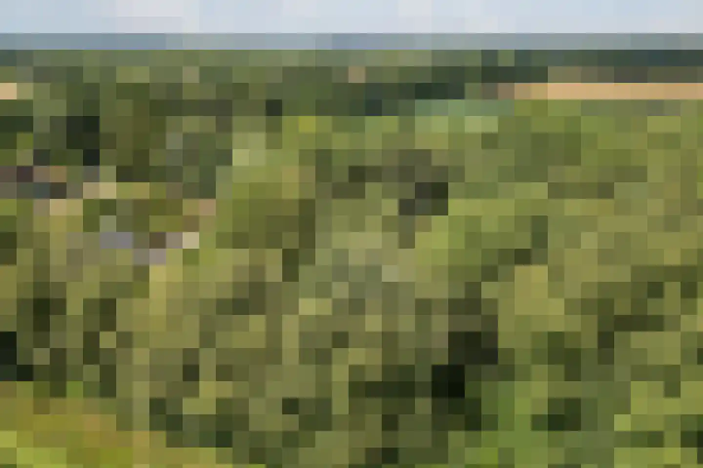 Koolveen 7 Nieuw-Balinge thumbnail 29
