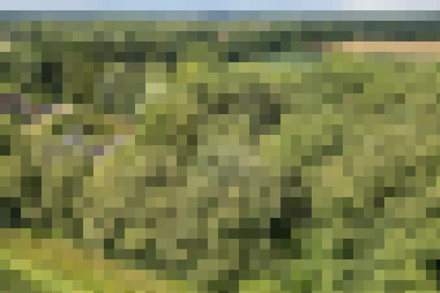 Koolveen 7 Nieuw-Balinge thumbnail 30