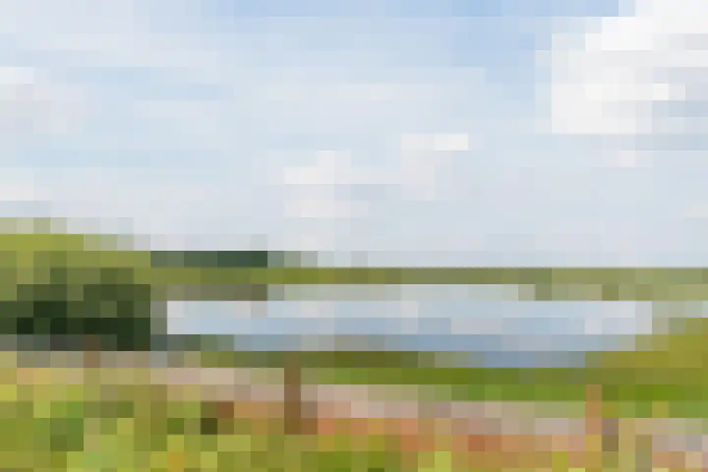 Koolveen 7 Nieuw-Balinge thumbnail 31