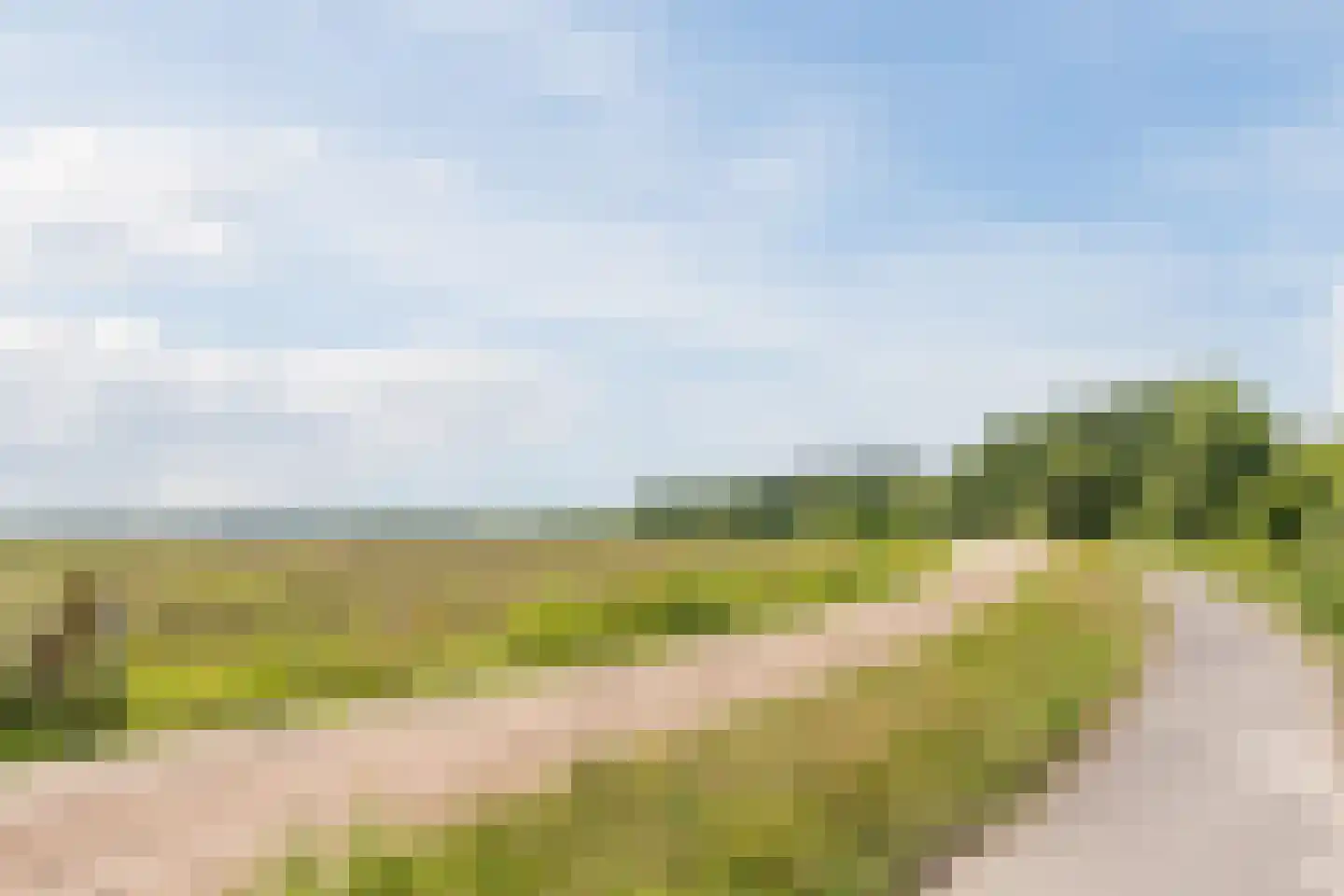 Koolveen 7 Nieuw-Balinge thumbnail 32