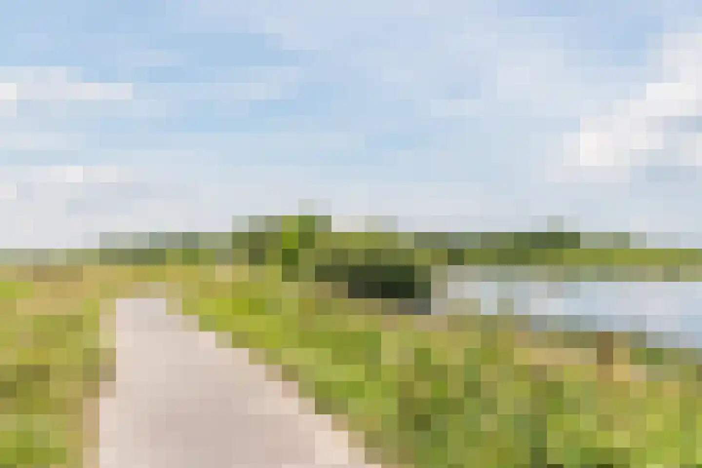 Koolveen 7 Nieuw-Balinge thumbnail 33