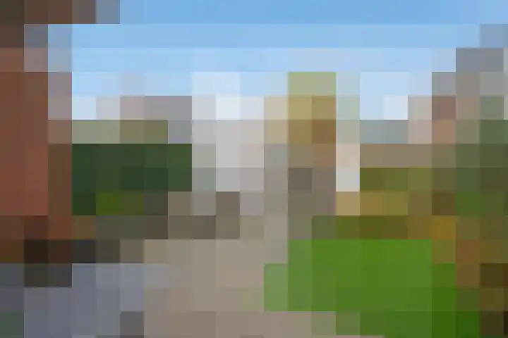 Koolveld 6 Den Hoorn thumbnail 12