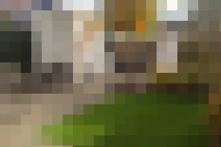 Koolveld 6 Den Hoorn thumbnail 13