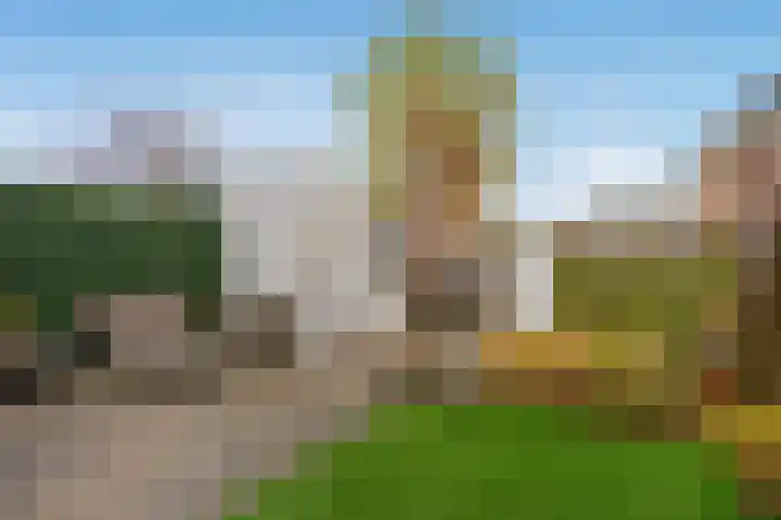 Koolveld 6 Den Hoorn thumbnail 14