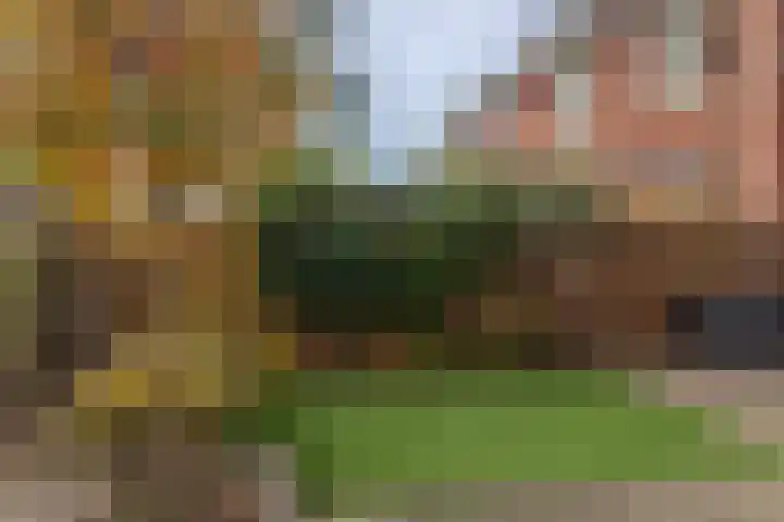 Koolveld 6 Den Hoorn thumbnail 15