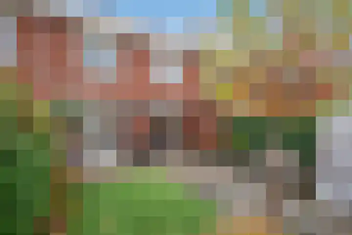 Koolveld 6 Den Hoorn thumbnail 16