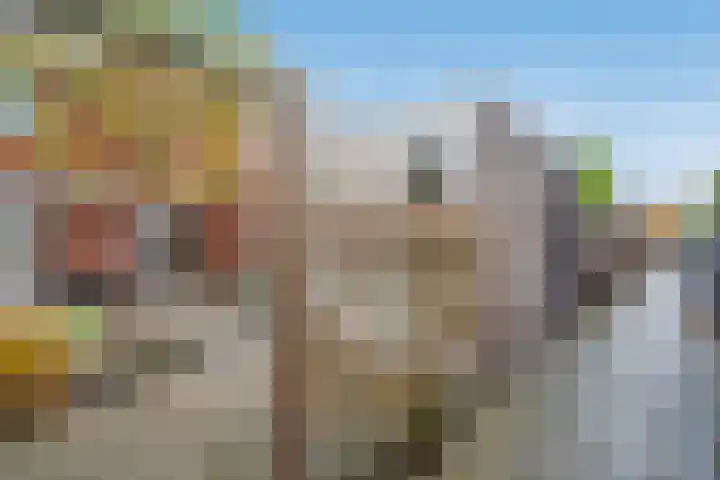 Koolveld 6 Den Hoorn thumbnail 17