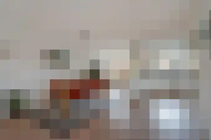 Koolveld 6 Den Hoorn thumbnail 20