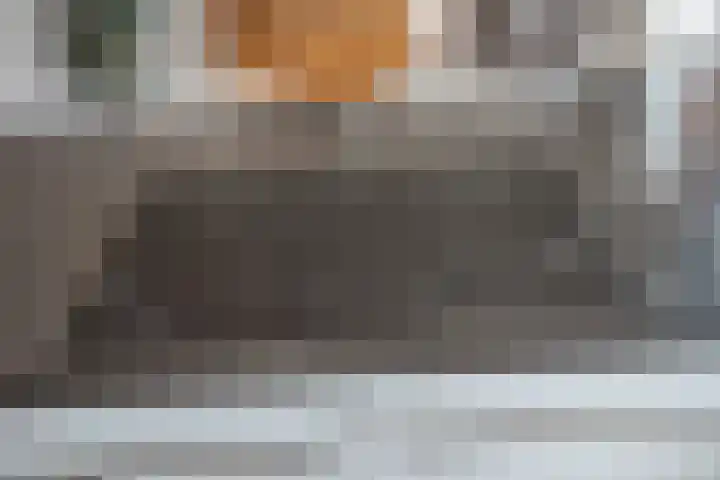 Koolveld 6 Den Hoorn thumbnail 24