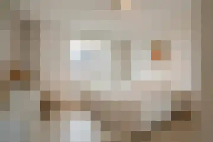 Koolveld 6 Den Hoorn thumbnail 32