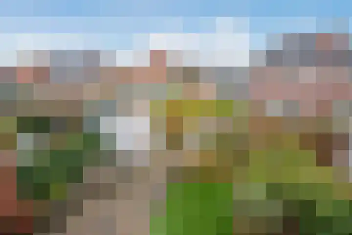 Koolveld 6 Den Hoorn thumbnail 33