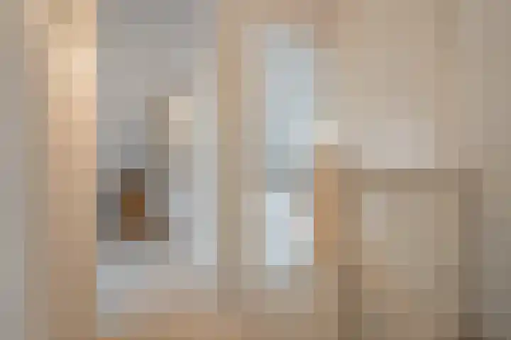 Koolveld 6 Den Hoorn thumbnail 38