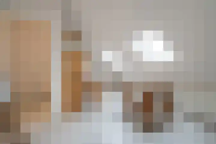 Koolveld 6 Den Hoorn thumbnail 42