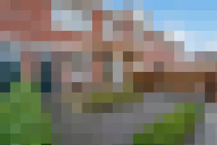 Koolveld 6 Den Hoorn thumbnail 46