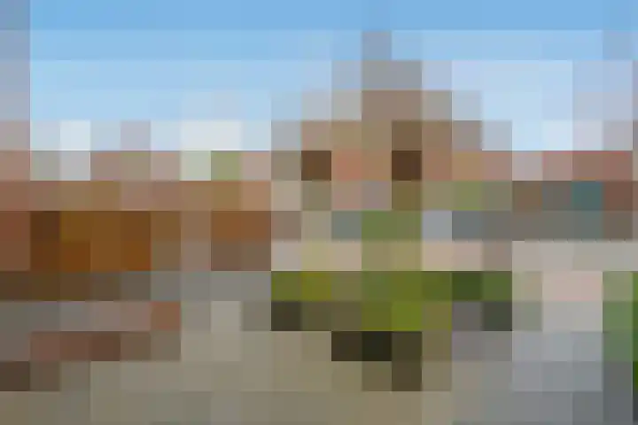 Koolveld 6 Den Hoorn thumbnail 47