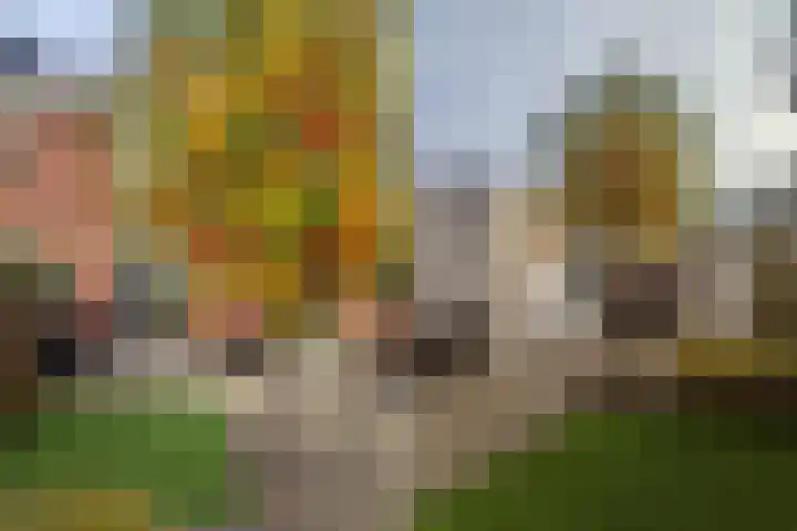 Koolveld 6 Den Hoorn thumbnail 48