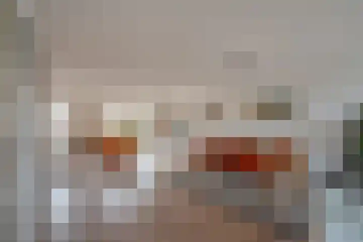 Koolveld 6 Den Hoorn thumbnail 8