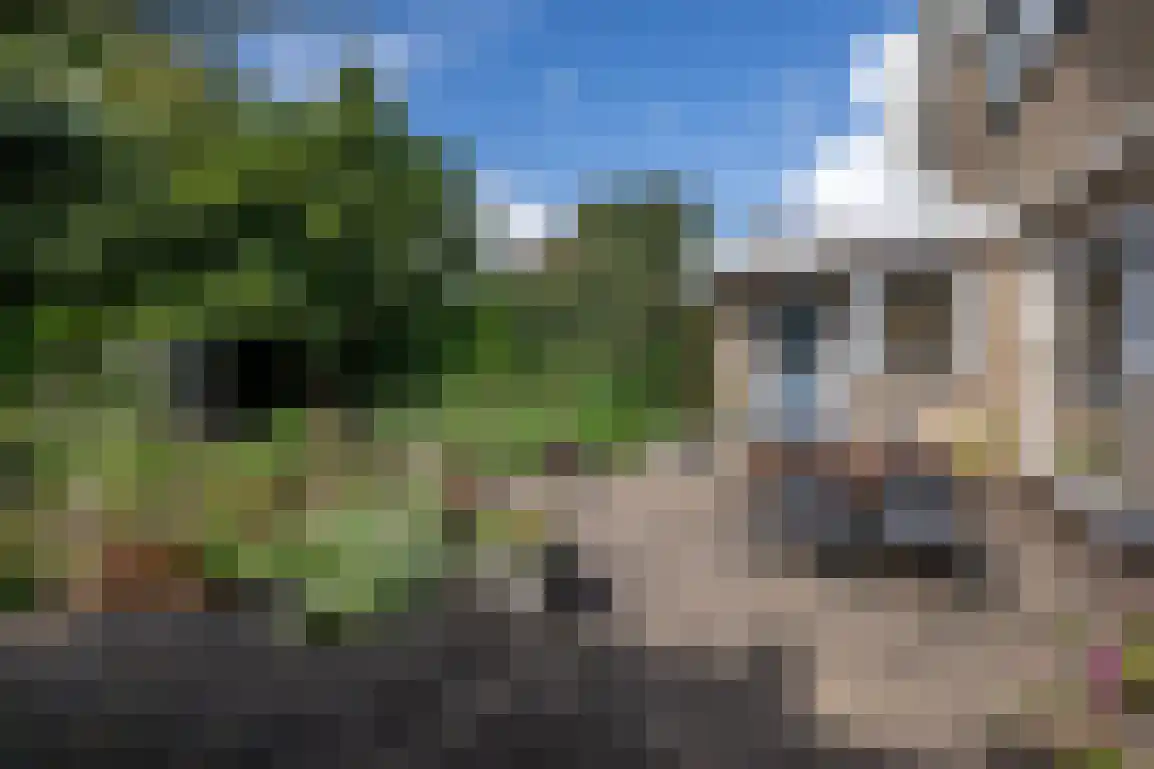 Koolweg 11 Ouddorp thumbnail 39