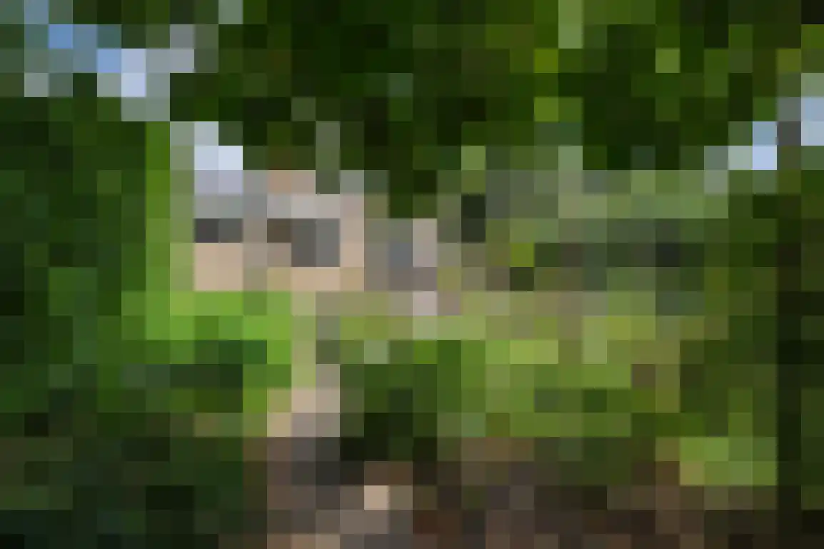 Koolweg 11 Ouddorp thumbnail 44