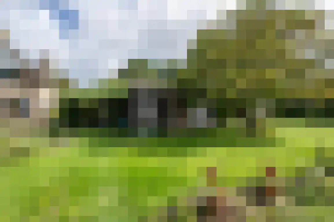 Koolweg 11 Ouddorp thumbnail 47
