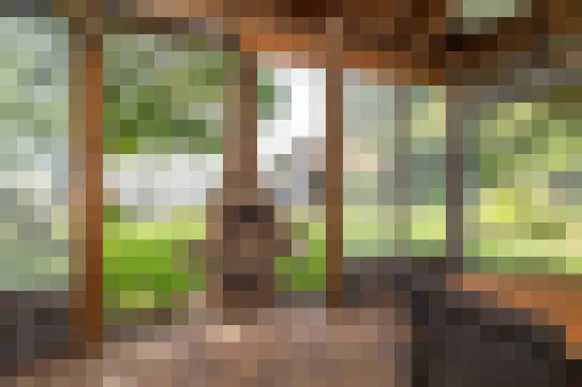 Koolweg 11 Ouddorp thumbnail 48
