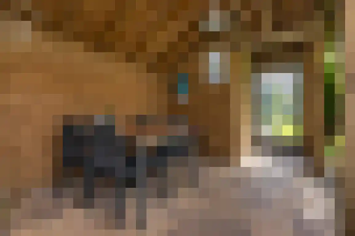 Koolweg 11 Ouddorp thumbnail 50