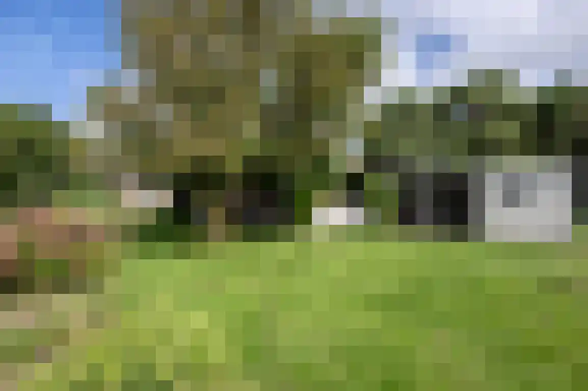 Koolweg 11 Ouddorp thumbnail 51