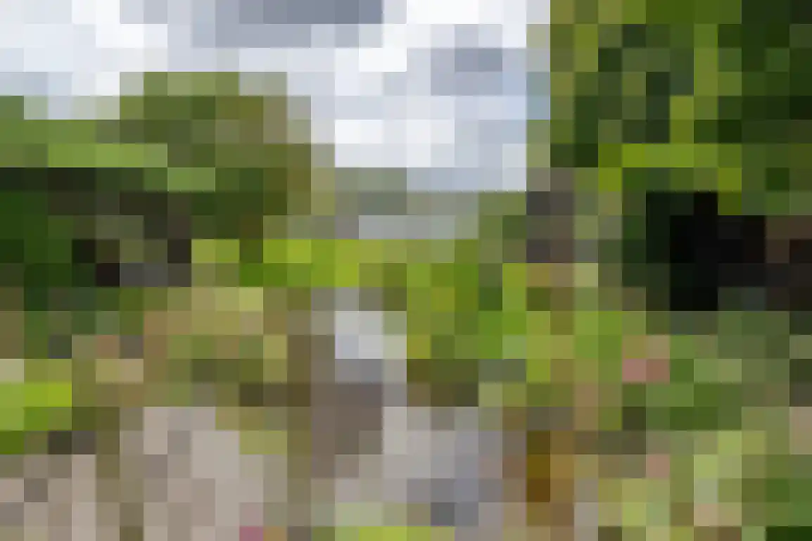 Koolweg 11 Ouddorp thumbnail 54