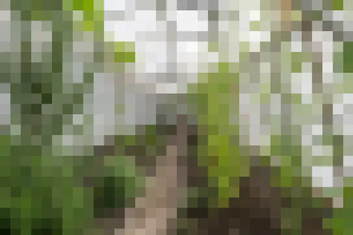 Koolweg 11 Ouddorp thumbnail 55