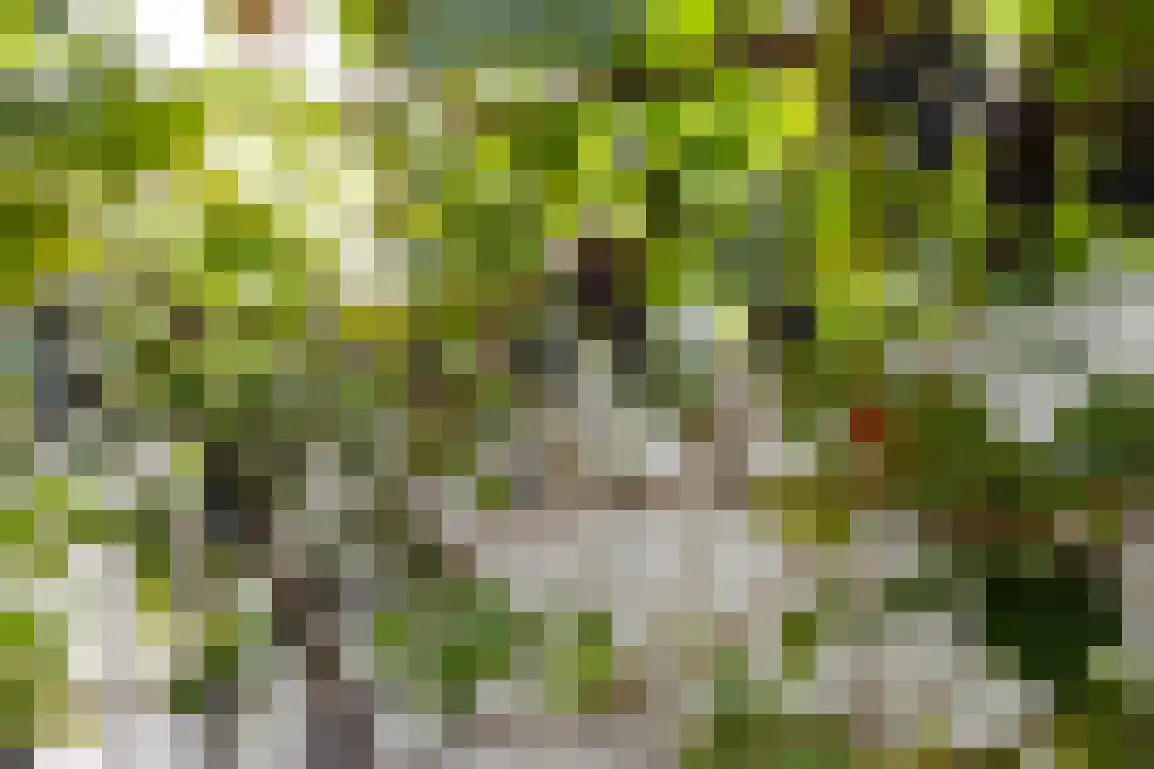 Koolweg 11 Ouddorp thumbnail 56
