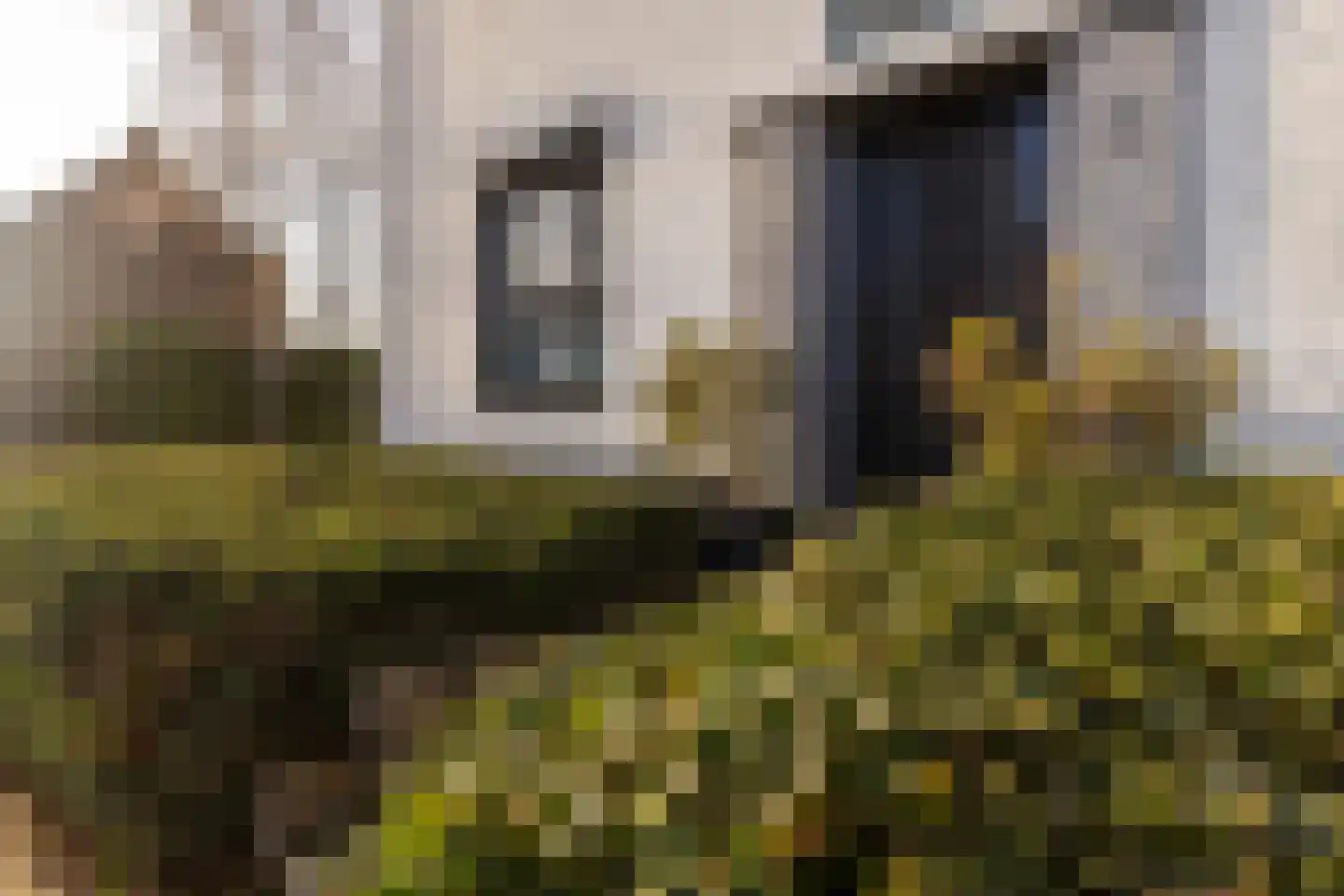 Koolweg 111 Elsloo thumbnail 14