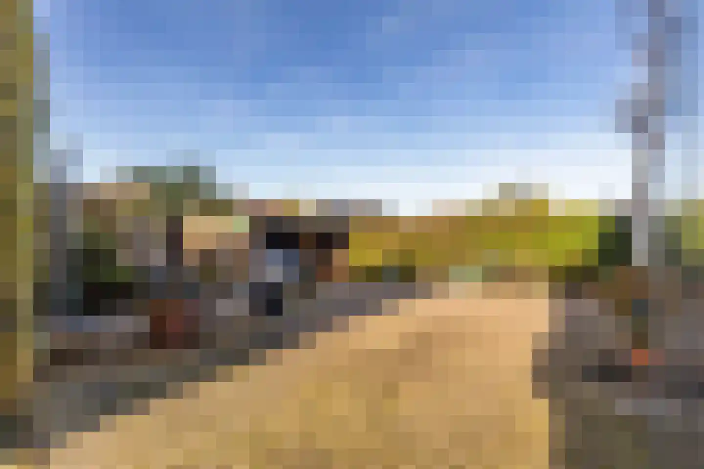 Koolweg 111 Elsloo thumbnail 65