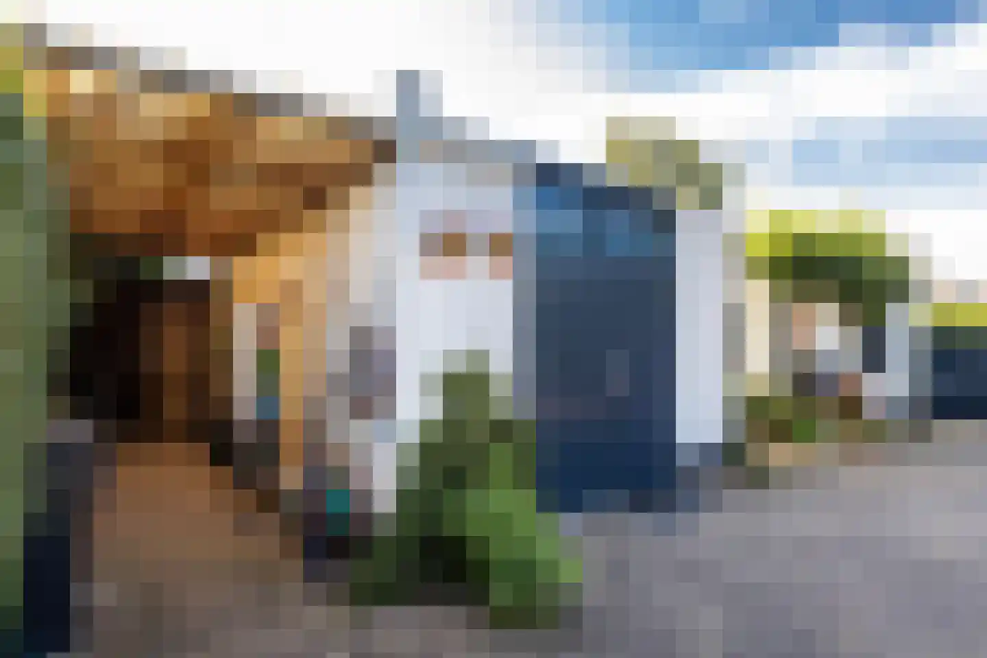 Koolweg 111 Elsloo thumbnail 71