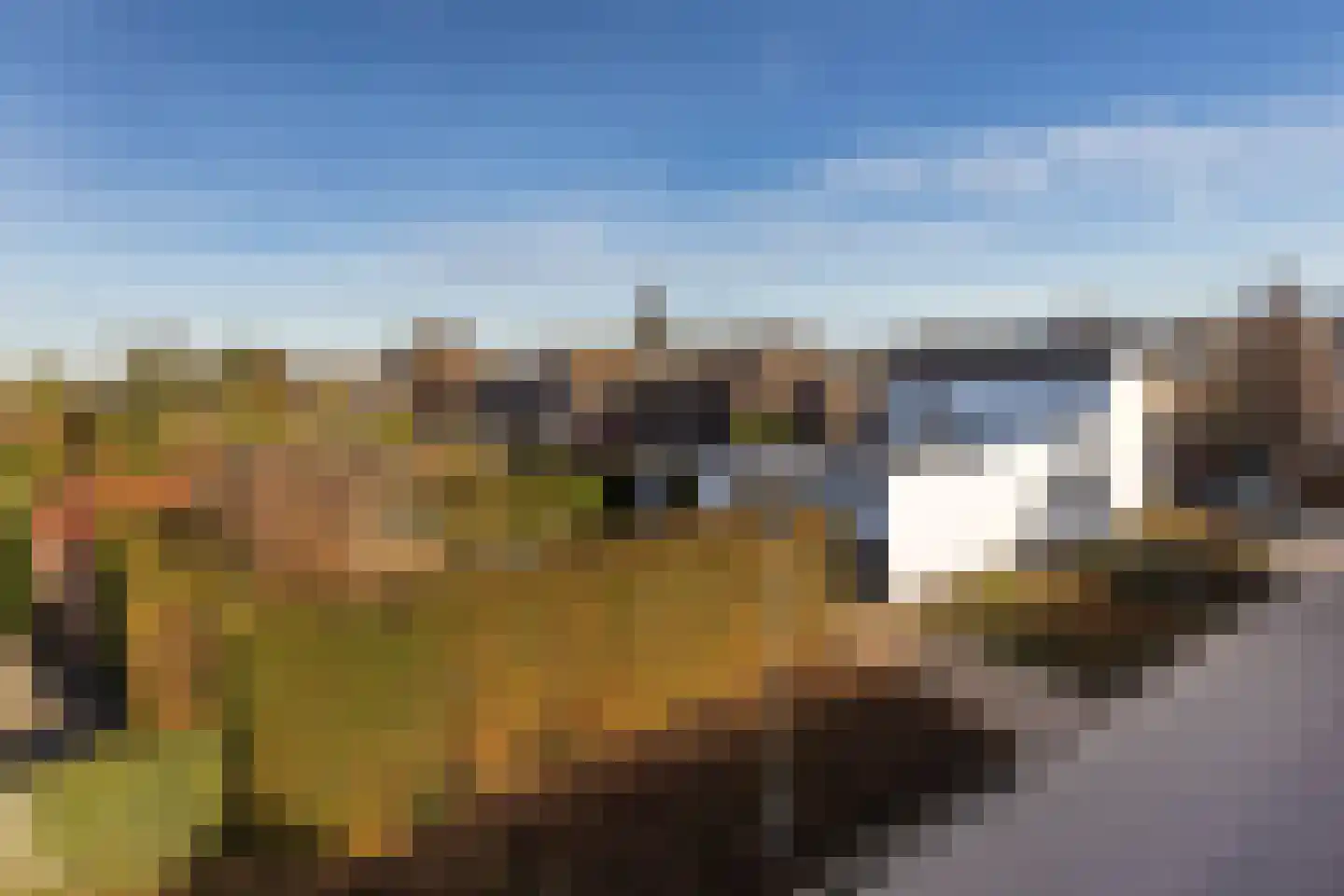 Koolweg 111 Elsloo thumbnail 77